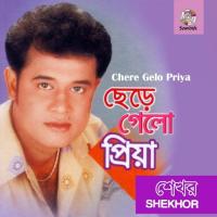 Ki Kore Tumi Vule Gele Shekhor Song Download Mp3