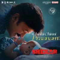 Chinni Chinni Praanam Chinmayi Sripada,Hymath Mohammed Song Download Mp3