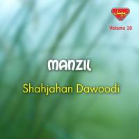 Dil Kap O Jiggar Shahjahan Dawoodi Song Download Mp3