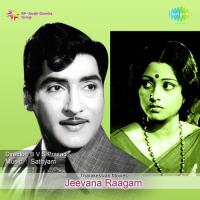 Nuvve Nandhanamu S. P. Balasubrahmanyam,P. Susheela Song Download Mp3