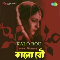 Bari Jhara Ei Raate Sandhya Mukherjee Song Download Mp3