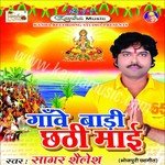 Chanani Tane Chalali Sagar Saliesh Song Download Mp3