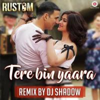 Tere Bin Yaara - Remix By DJ Shadow Arko Song Download Mp3