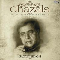 Rishton Mein Daraar (From "Rishton Mein Daraar Aayee") Jagjit Singh Song Download Mp3