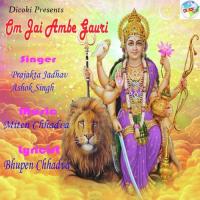 Shradha Ke Ful Tere Ashok Singh Song Download Mp3