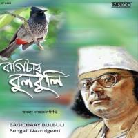 Chharitey Paran Anita Mazumder Song Download Mp3