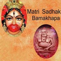 Tarapithe Chalo Tara Maa Er Aroti Karo Alok Chatterjee Song Download Mp3