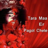 Ami Tara Maa Er Chele Rishiputro Song Download Mp3