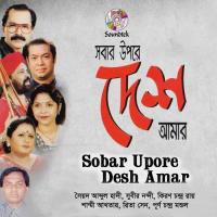 Shohid Minar Smrity Sowdho Shammi Akhter Song Download Mp3