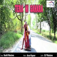 Tera Hi Sahara Sushil Mastana Song Download Mp3