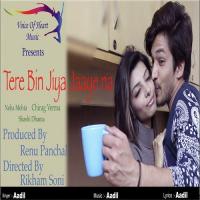 Tere Bin Jiya Jaaye Na Aadil Song Download Mp3