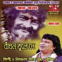 Apnar Jon Bole Nittya Nanda Singho Ray Song Download Mp3