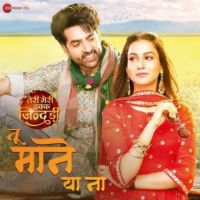 Tu Maane Yaa Naa (From Teri Meri Ikk Jindri) Shree Dayal Song Download Mp3