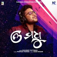 Oh Madhu Kuldeep Pattanaik Song Download Mp3