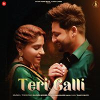 Teri Galli Sajjan Adeeb Song Download Mp3