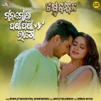 Mana Mora Pakhi Pakhi Lage Biswajit Mahapatra,Sohini Mishra Song Download Mp3