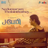 Nedumaram Tholainthathey Tony Britto,Pradeep Kumar,Annie J Song Download Mp3