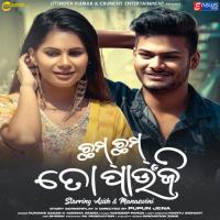 Cham Cham To Paunji Humane Sagar,Aseema Panda Song Download Mp3