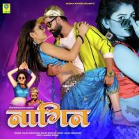 NAGIN Salim Shekhawas,Shilpa Bidawat Song Download Mp3