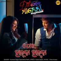 Tora Halka Halka Humane Sagar,Diptirekha Padhi Song Download Mp3