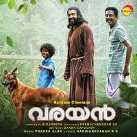 Kayalondu Vattam Varache Sai Bhadra,Anamika Prakash,Pavni Prakash,Joann Lizbet,Christa Merrin Song Download Mp3