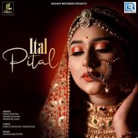 Ital Pital Anwar Dhavshi,Mehboob Khan,Indra Dhavshi Song Download Mp3