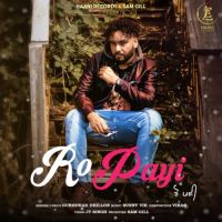 Ro Payi Gursewak Dhillon Song Download Mp3