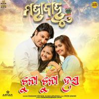 Chuna Chuna Hasa Shasank Sekhar,Alaka Avilekha Song Download Mp3