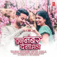 Tujha Number De Na Mala Harshavardhan Wavare,Megha Musale,Sameer KS Song Download Mp3