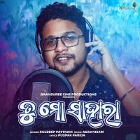 Tu Mo Sahara Kuldeep Pattnaik Song Download Mp3