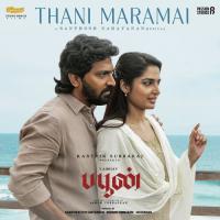 Thani Maramai (From "Buffoon") Santhosh Narayanan,Pavithra Ramesh,Aditya Ravindran Song Download Mp3