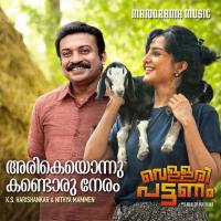 Arikeyonnu Kandoru Neram KS Harisankar,Nithya Mammen Song Download Mp3