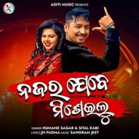 Najara Jebe Miseilu  Song Download Mp3