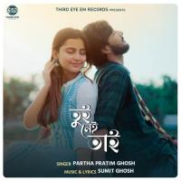 Tui Nei Tai Partha Pratim Ghosh Song Download Mp3