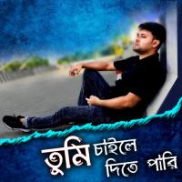 Tumi Chaile Dite Pari  Song Download Mp3