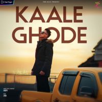 Kaale Ghode Harvi Song Download Mp3