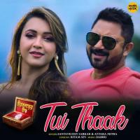 Tui Thaak Santanu Dey Sarkar,Antara Mitra Song Download Mp3