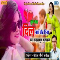 Tune Mera Dil Kyo Tod Diya Niraj Seni Song Download Mp3