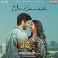 Edo Nasha Nasha Mohana Bhogaraju Song Download Mp3