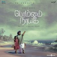 Adiye Raasaathi Sundaramurthy KS,Sathyaprakash D Song Download Mp3