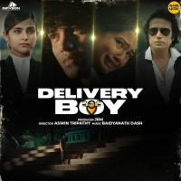 Delivery Boy - Title Song Satyajeet Pradhan Song Download Mp3