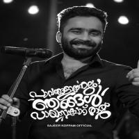 Pavangalanelum Njangal Payassa Choru Tharum  Song Download Mp3