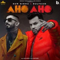 Aho Aho Gur Sidhu,Sultaan Song Download Mp3