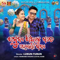 Jamuna Jibaku Mote Hoichi Mana  Song Download Mp3