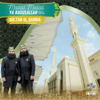 Madad Madad Ya RasulAllah (s.a.w) Sultan Ul QADRIA Qawwal Song Download Mp3