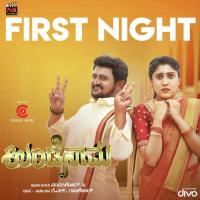 First Night Song (From "Undenaama") V. Sridhar,Naveen Sajju,Sadwini Koppa Song Download Mp3