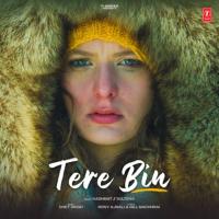 Tere Bin Hashmat Sultana Song Download Mp3