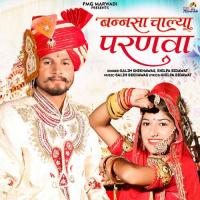 Bannsa Chalya Paranva Salim Shekhawas,Shilpa Bidawat Song Download Mp3