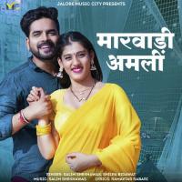 Marwadi Amli Salim Shekhawas,Shilpa Bidawat Song Download Mp3