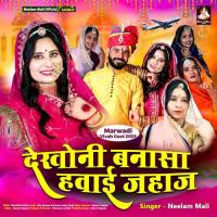 Dekhoni Banasa Hawai Jahaj Neelam Mali Song Download Mp3